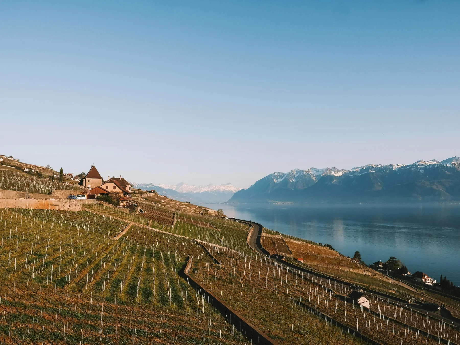 Lavaux vineyards above Lake Geneva, with the Alps beyond